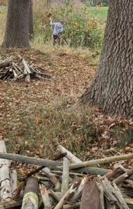 2024-11-16-arbeitsdienst-11-16-43